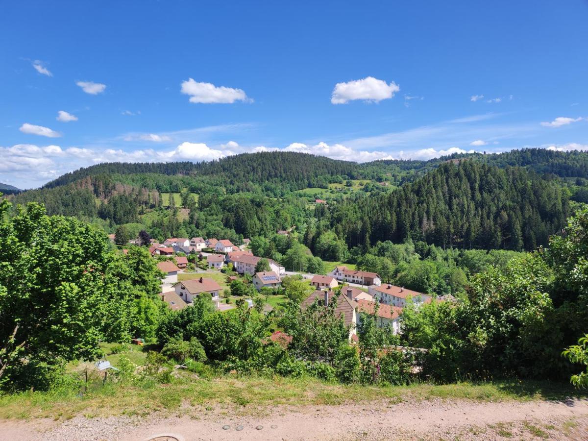 Appartement Au Centre Du Tholy Pour 5 Personnes Maximum Ле-Толі Екстер'єр фото